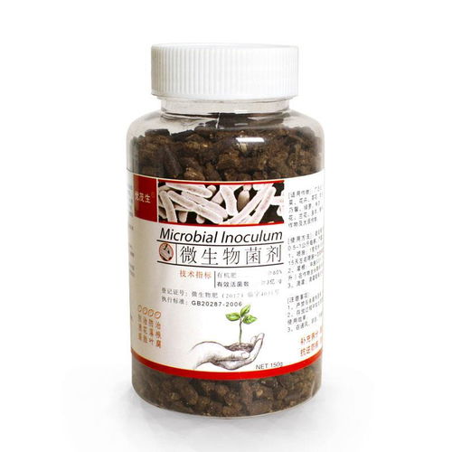 微生物菌剂 开启家庭园艺的绿色高效新篇章