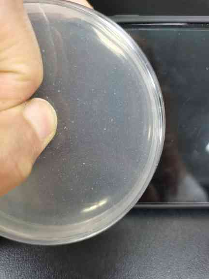 食品微生物检测中的菌落总数超标现象解析与应对策略