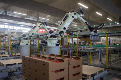 中国建材工程 科技助力三农，数字赋能植物工厂，生物菌种为乡村振兴办实事