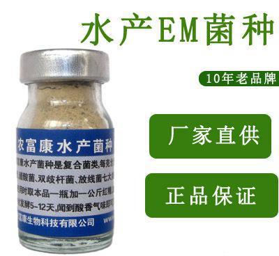 水产养殖优选 生物菌种产品助力水花塘益生菌培育